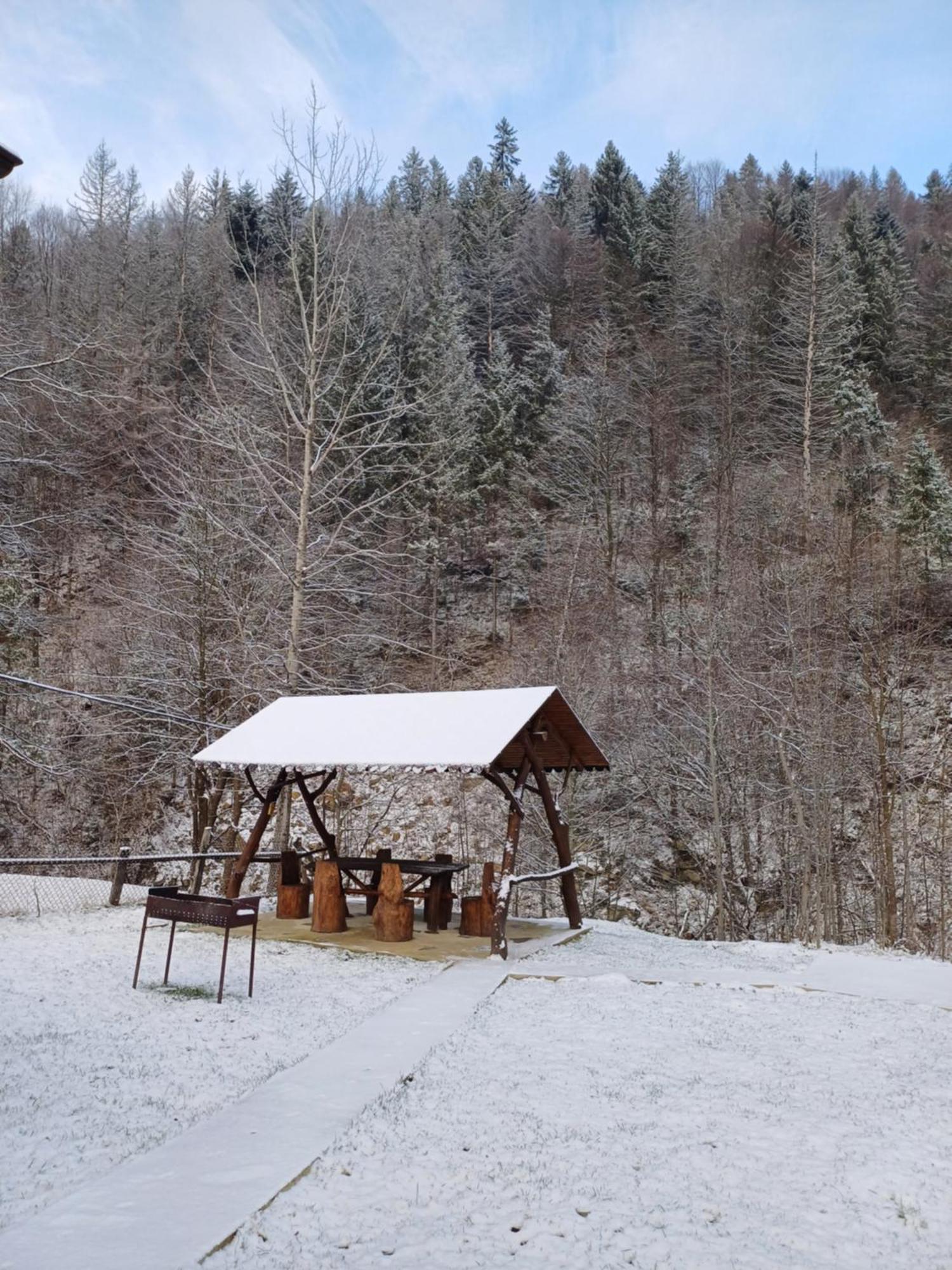 Садиба У Курила З Сауною Та Чаном На Дровах Shepot Exterior photo