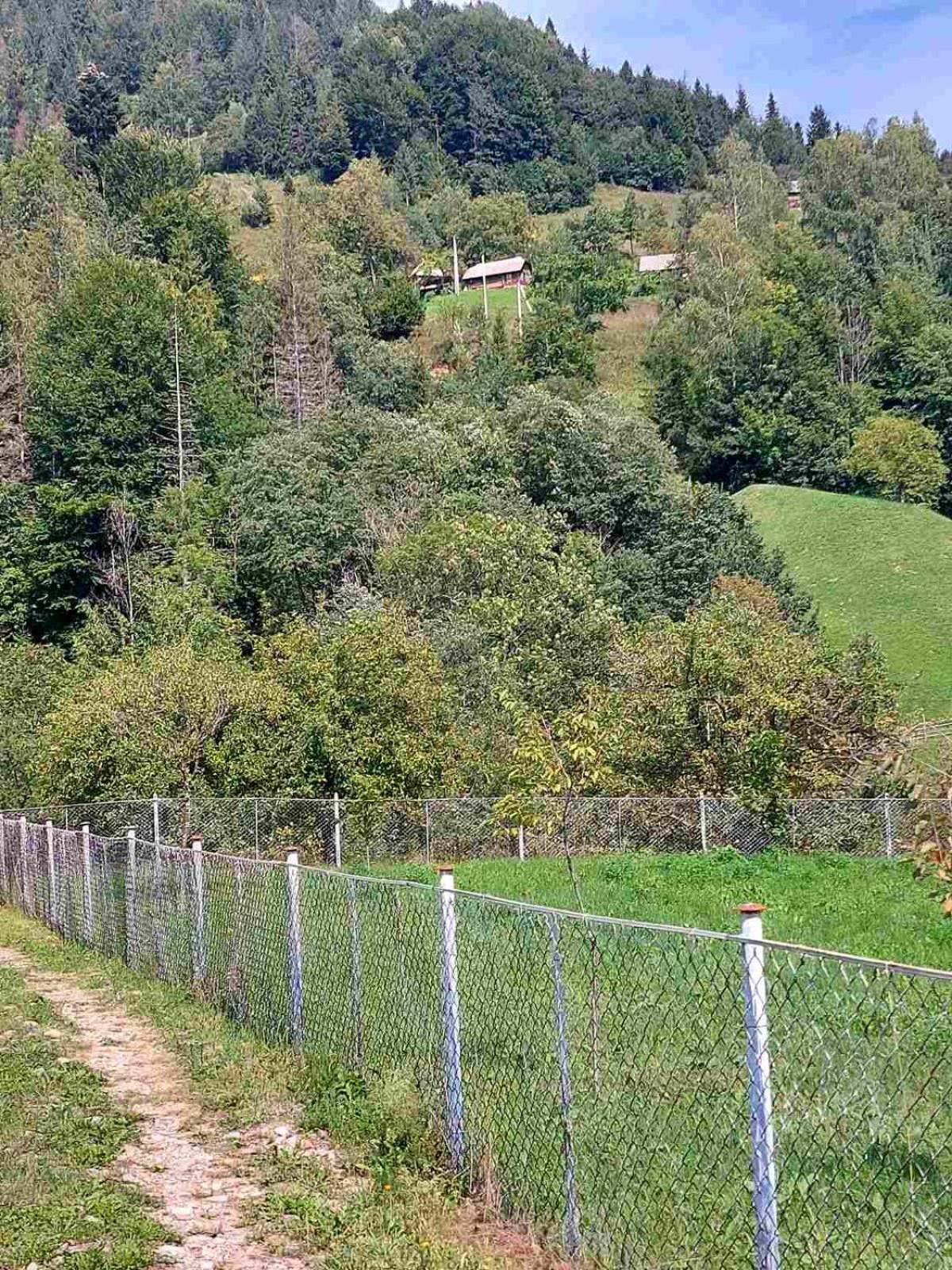 Садиба У Курила З Сауною Та Чаном На Дровах Shepot Exterior photo